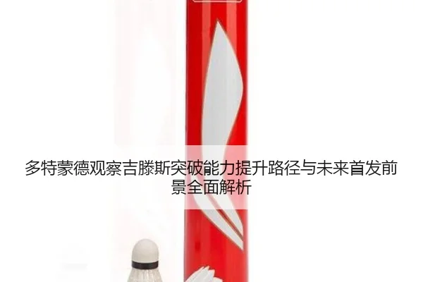 多特蒙德观察吉滕斯突破能力提升路径与未来首发前景全面解析