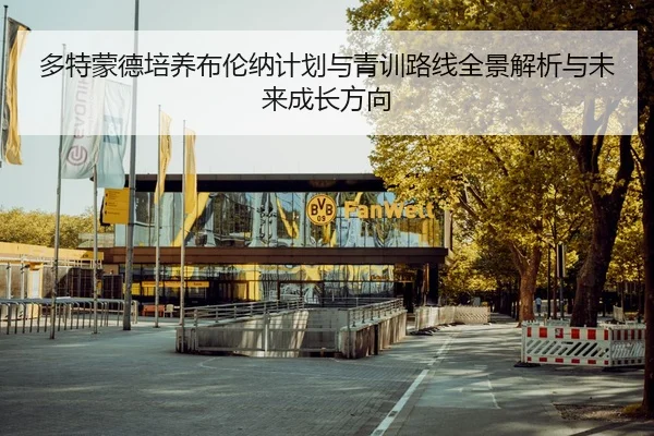 多特蒙德培养布伦纳计划与青训路线全景解析与未来成长方向